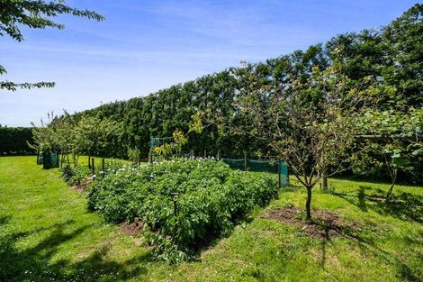 Photo of property in 325a Awai Road, Tarurutangi, New Plymouth, 4372