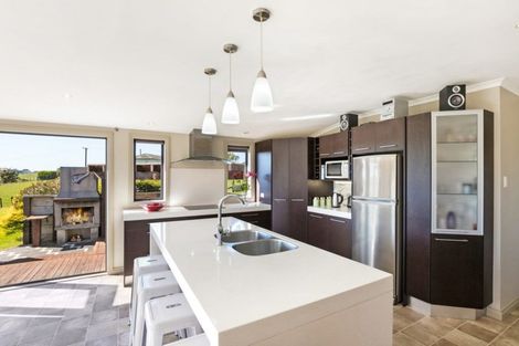 Photo of property in 113 Quinn Road, Mauku, Pukekohe, 2678