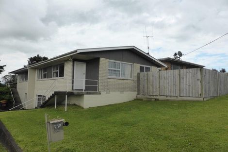 Photo of property in 41b Collingwood Street, Judea, Tauranga, 3110
