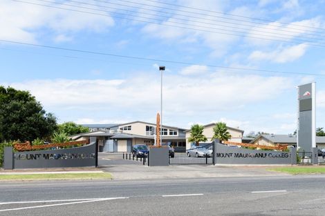 Photo of property in 115 Links Avenue, Mount Maunganui, 3116