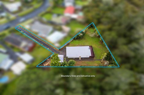 Photo of property in 43 Riverpark Crescent, Henderson, Auckland, 0610