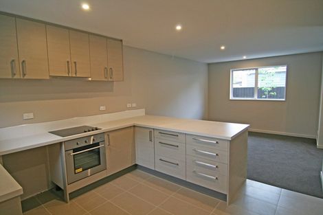 Photo of property in 21c Dickens Street, Addington, Christchurch, 8024