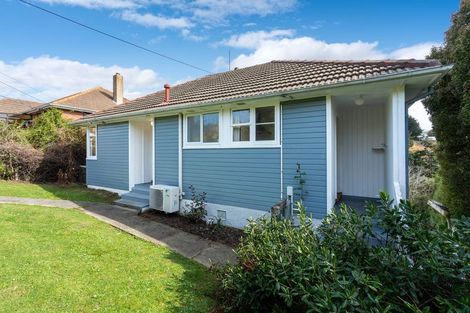 Photo of property in 30 Panmure Avenue, Calton Hill, Dunedin, 9012