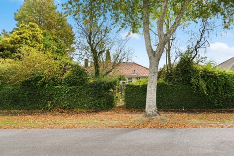 Photo of property in 61 Holland Road, Fairfield, Hamilton, 3214