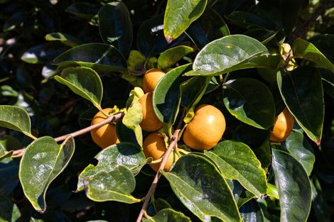 Photo of property in 45 Mahurangi East Road, Snells Beach, Warkworth, 0982