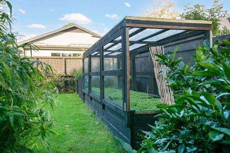 Photo of property in 41 Grey Street, Cambridge, 3434