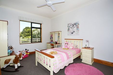 Photo of property in 94 Farmpark Road, Waiuku, 2681