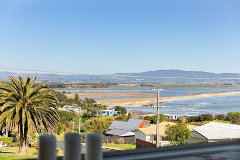 Photo of property in 81 Town Point Road, Maketu, Paengaroa, 3189