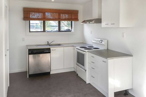Photo of property in 1/113 Ruskin Street, Addington, Christchurch, 8024