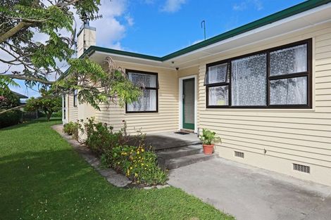 Photo of property in 309a Gascoigne Street, Raureka, Hastings, 4120