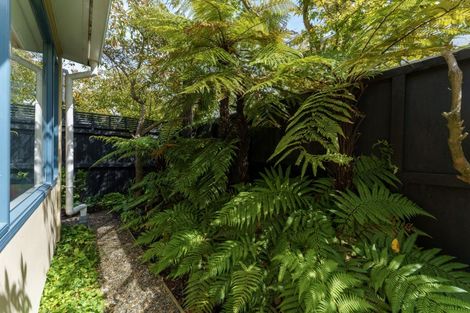 Photo of property in 77 Canon Street, St Albans, Christchurch, 8014