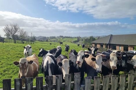 Photo of property in 2a Kelgary Place, Wellsford, 0900