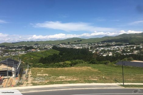 Photo of property in 17 Queen Charlotte Drive, Aotea, Porirua, 5024