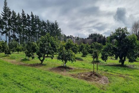 Photo of property in 146 Browns Road, Kaikohe, 0474