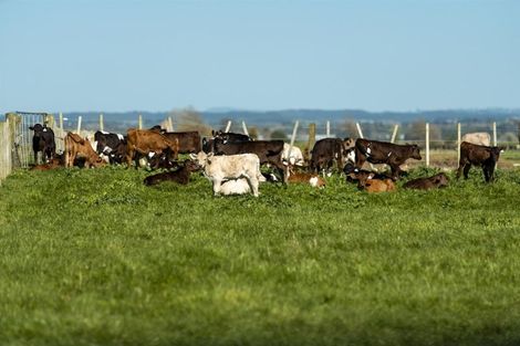 Photo of property in 98 Pukehina Parade, Pukehina, 3189