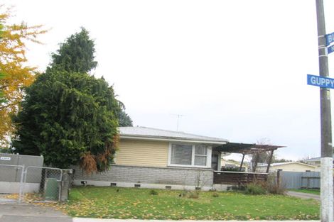 Photo of property in 83 Guppy Road, Greenmeadows, Napier, 4112