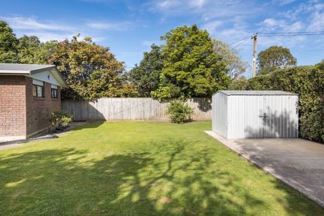 Photo of property in 25 Pembroke Street, Ashhurst, 4810