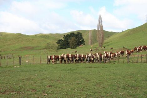 Photo of property in 6822 Ohura Road, Kohuratahi, Stratford, 4396