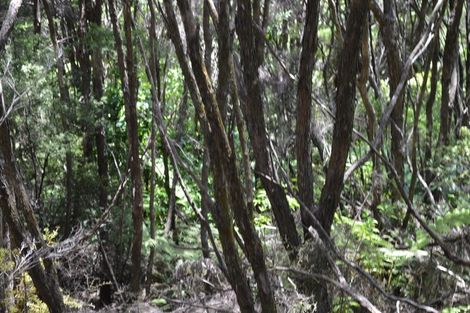 Photo of property in 1128 Kennedy Bay Road, Kennedy Bay, Coromandel, 3583