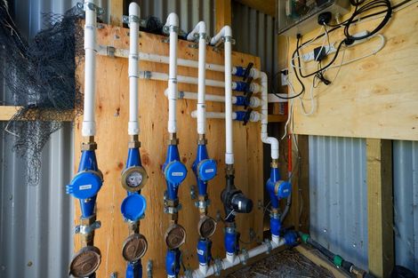 Photo of property in 35 Brighton Street, Island Bay, Wellington, 6023