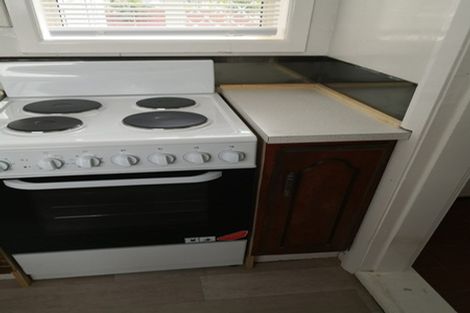 Photo of property in 14 Massey Avenue, Greenlane, Auckland, 1061