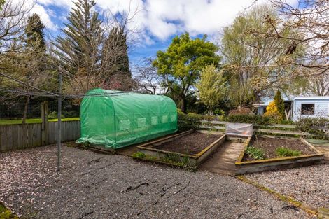 Photo of property in 14 Vickerman Street, Grovetown, Blenheim, 7202