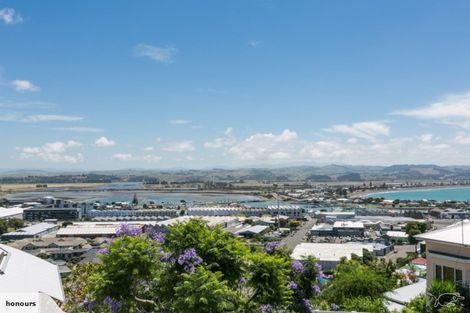 Photo of property in 2 Denholm Road, Hospital Hill, Napier, 4110