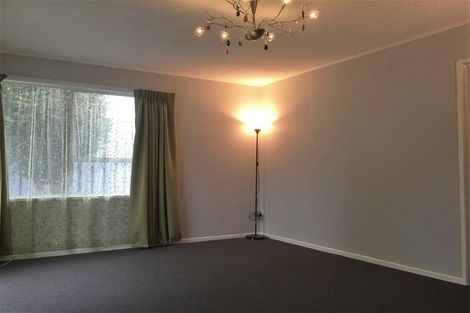 Photo of property in 13 Manor Place, Bader, Hamilton, 3206