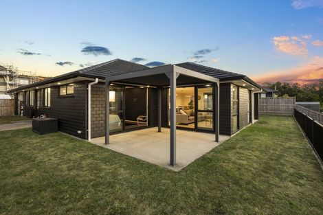 Photo of property in 57 Lisle Farm Drive, Pukekohe, 2120