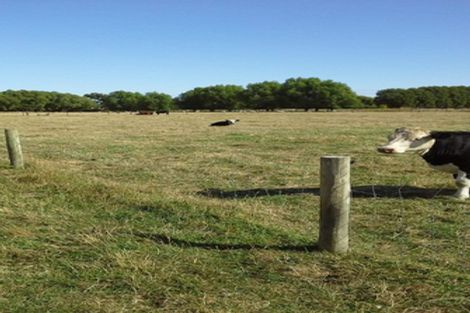 Photo of property in 145 Island Road, Kaiapoi, 7691