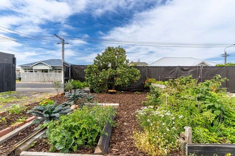 Photo of property in 31 Prince Albert Road, Saint Kilda, Dunedin, 9012