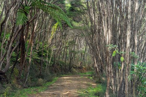 Photo of property in 425n Boat Harbour Road, Whenuakite, Whitianga, 3591