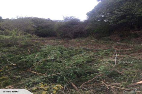 Photo of property in 14 Kowhai Street, Ravensbourne, Dunedin, 9022