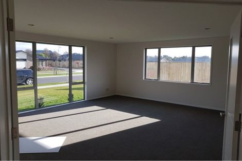 Photo of property in 60 Bayliss Drive, Kaiapoi, 7630