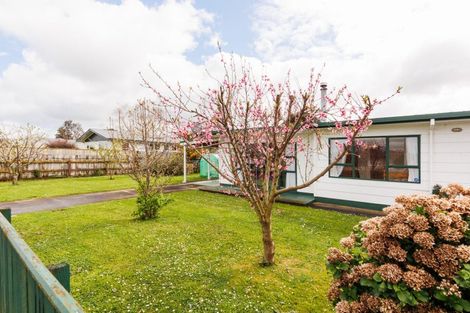 Photo of property in 40 Lincoln Street, Ashhurst, 4810