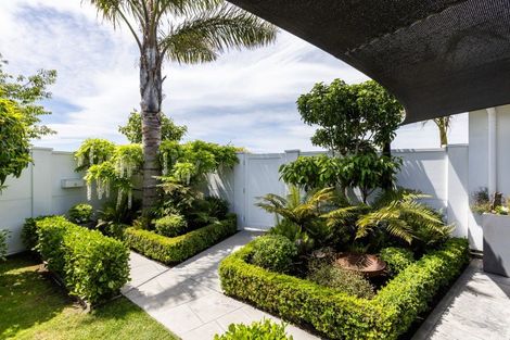 Photo of property in 19 Lochhead Street, Mahora, Hastings, 4120