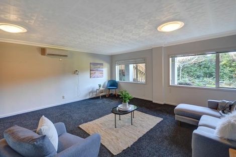 Photo of property in 45 Leven Street, Roslyn, Dunedin, 9010