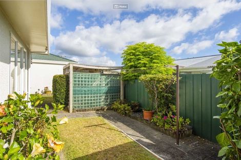 Photo of property in 12b Hayes Avenue, Gate Pa, Tauranga, 3112