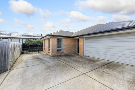 Photo of property in 20a Sumner Street, Spreydon, Christchurch, 8024