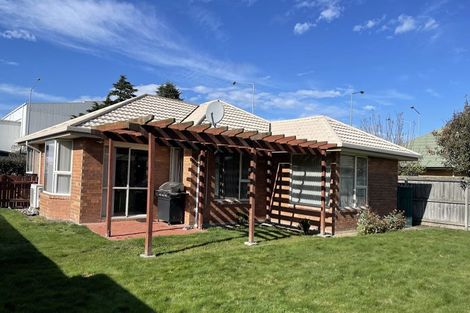 Photo of property in 111 Carmen Road, Hei Hei, Christchurch, 8042