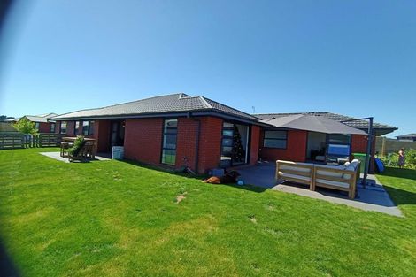 Photo of property in 9 Whakapono Avenue, Baverstock, Hamilton, 3200