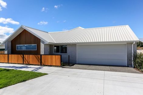 Photo of property in 3 Normanby Street, Fitzroy, New Plymouth, 4312