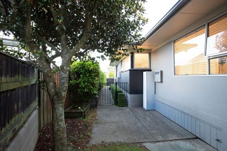 Photo of property in 45 Glen Lynne Avenue, Queenwood, Hamilton, 3210