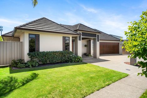 Photo of property in 58 Merlot Drive, Greenmeadows, Napier, 4112
