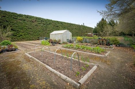 Photo of property in 87 Halkett Road, West Melton, Christchurch, 7676