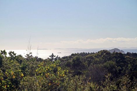 Photo of property in 463 Henderson Bay Road, Houhora, Pukenui, 0484