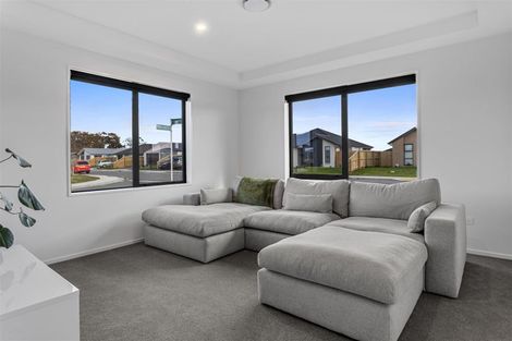 Photo of property in 24 Borland Street, Woodend, 7610