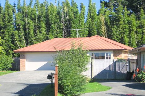 Photo of property in 80 Summerland Drive, Henderson, Auckland, 0612