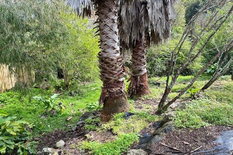 Photo of property in 37 Kamara Road, Glen Eden, Auckland, 0602