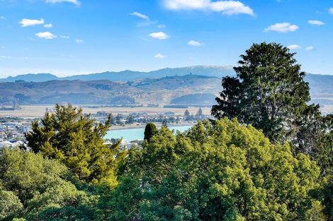 Photo of property in 22 Coleman Terrace, Hospital Hill, Napier, 4110